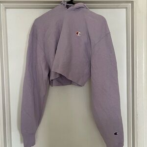 champion cropped hoodie